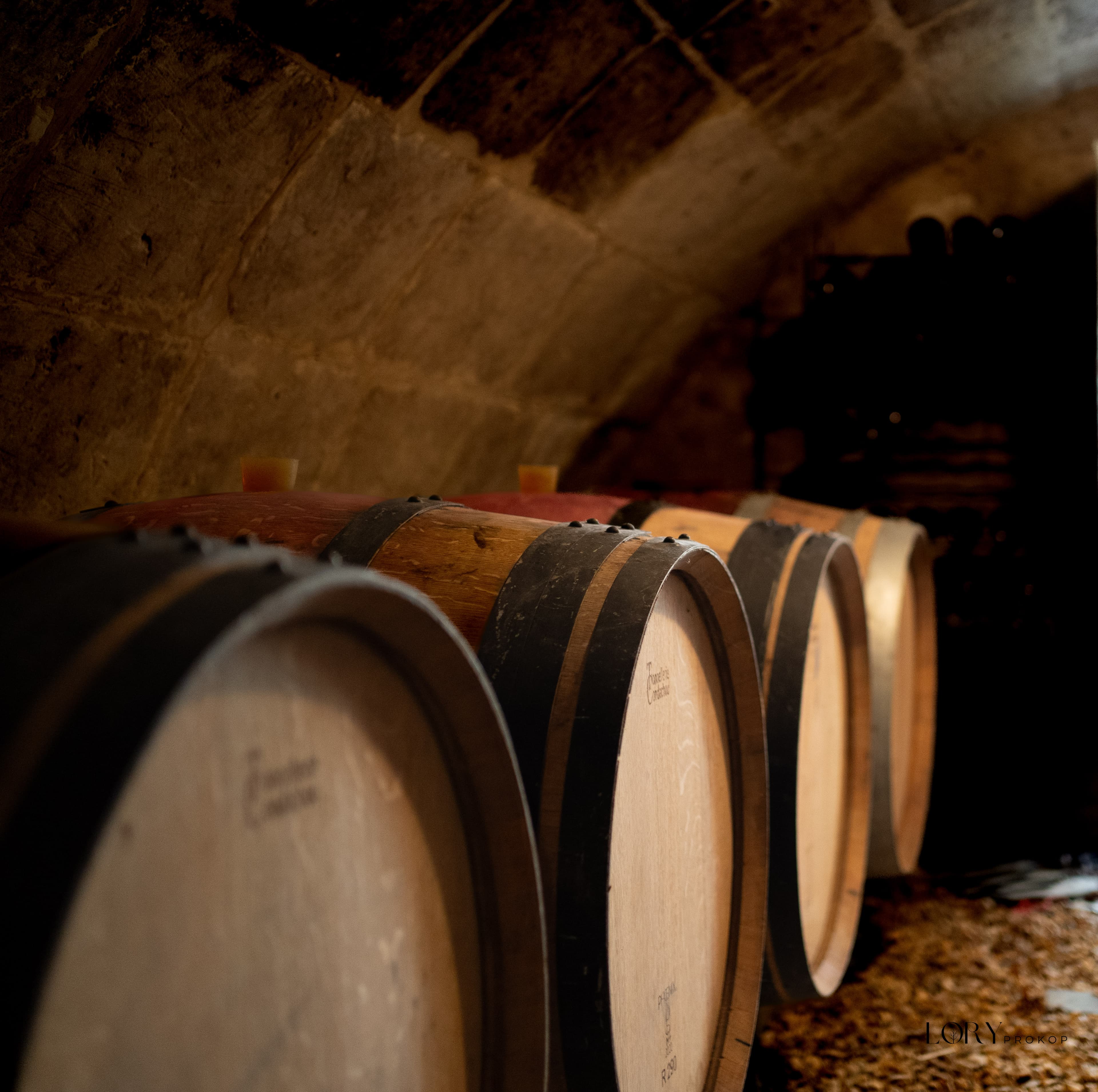 Travail à la cave du domaine